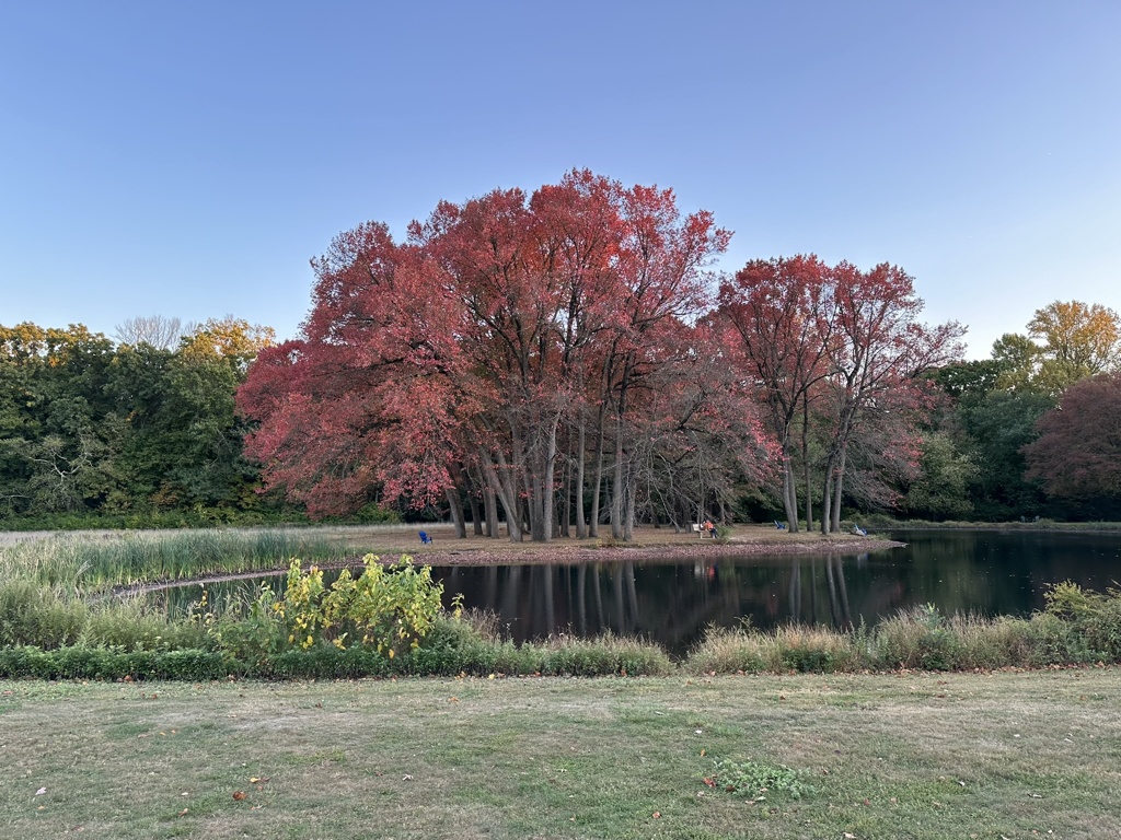 Institute Pond